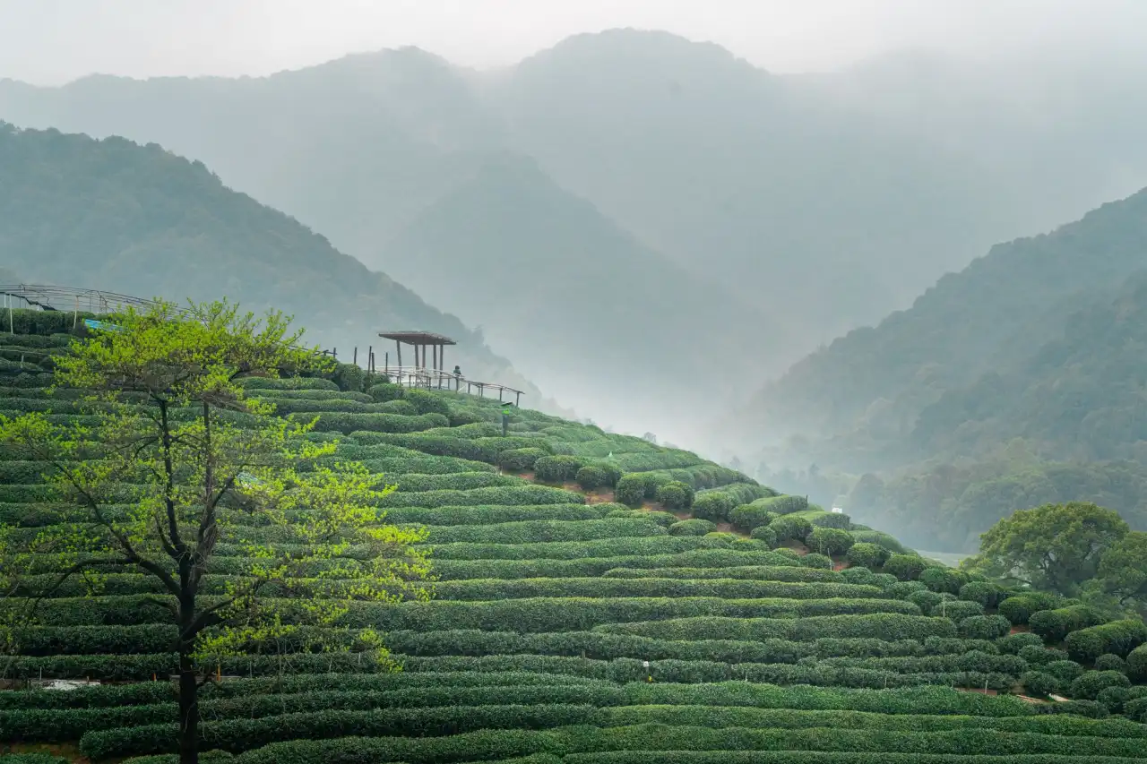 水性马克笔与油性记号笔在美术教学中的性能对比分析