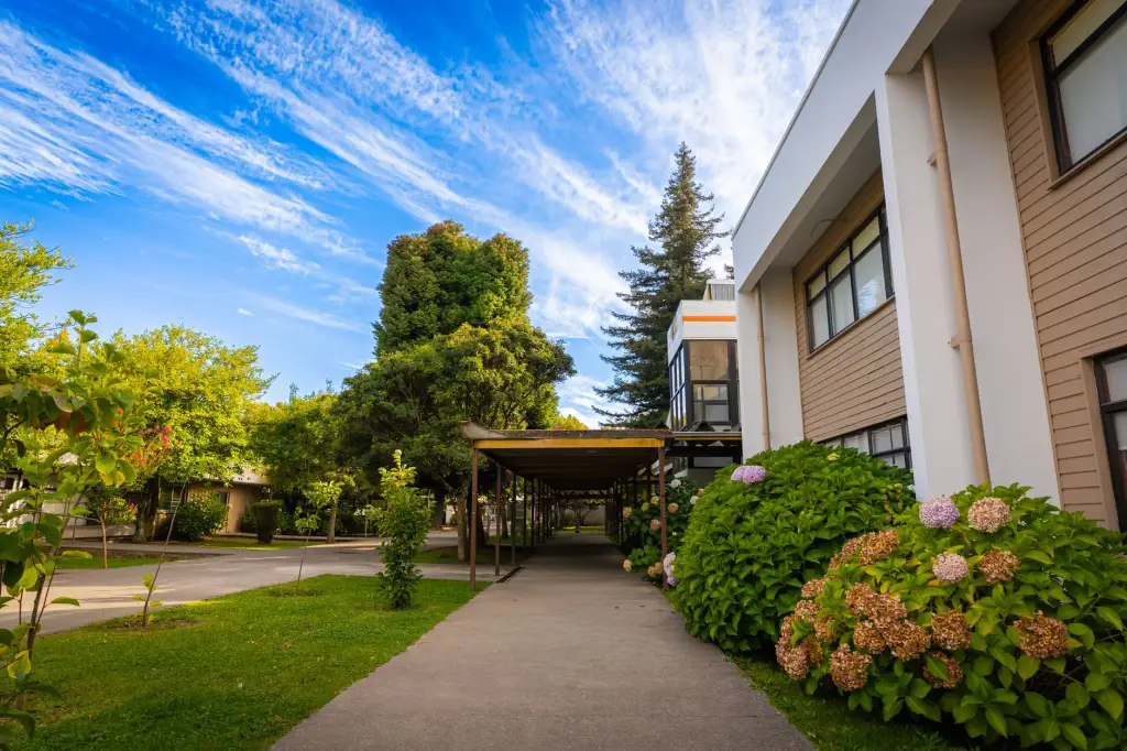 2025年学生文具与办公用品市场价格走势及趋势解读