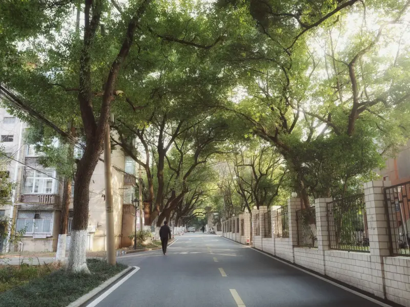 重庆学生文具选购指南：童月依美术耗材与办公用品搭配推荐